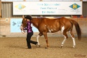 22-APHA HOTC_023